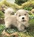 terrier33 - Plush Glen Terrier Puppet 14