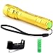SKYWOLFEYE Zoomable 300LM Cree T6 LED Flashlight Torch Lamp 3 Modes Powerful Light 18650 (a Gold Flashlight + a 18650 Battery + a Charger)