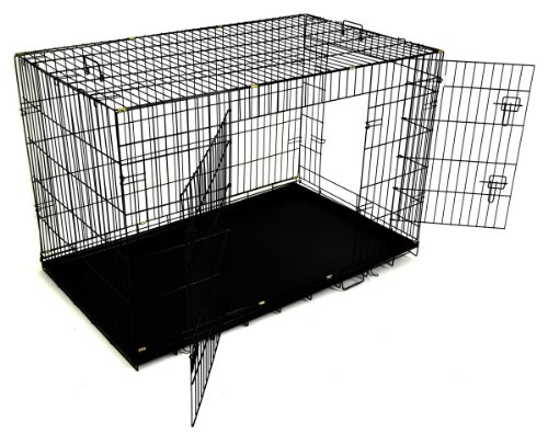 petco kennel cough medicine