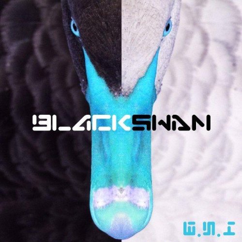 Morning Light (Original Mix)