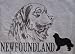 Medium Embroidered Newfoundland T-Shirt