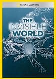 The Invisible World