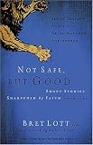Not Safe But Good Volume 2: Short Stories Sharpened by Faith: 2: Short Stories Sharpened by Faith: 2