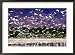 Nesting Egrets at Lago Enriquillo, Dominican Republic, Caribbean Art Styles Framed Photographic Poster Print by Greg Johnston, 29x21
