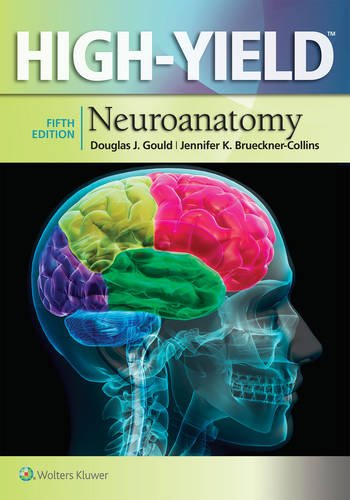 High-Yield(TM) Neuroanatomy (High-Yield  Series)