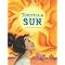 Even More Contemporary Hispanic-American Fiction for Young Readers