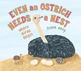 Even an Ostrich Needs a Nest: Where Birds Begin