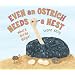 Even an Ostrich Needs a Nest: Where Birds Begin