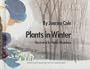 Plants in Winter (Lets-Read-and-Find-Out Science Book)