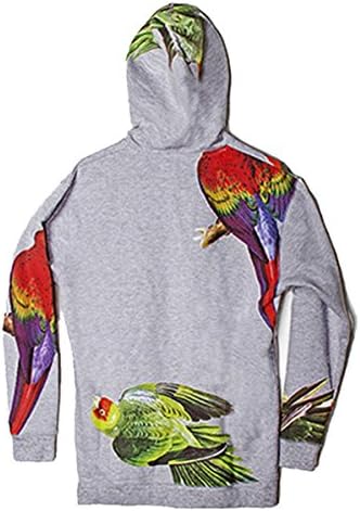 Akomplice Samba Bird Pullover Hoodie In Grey (Medium)