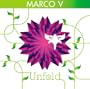 Unfold 3