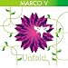 Unfold 3