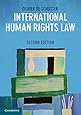 International Human Rights Law: Cases, Materials, Commentary