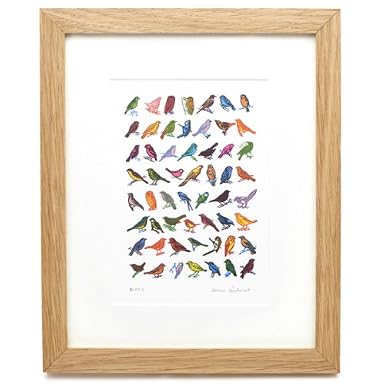 Garden Birds by John Dilnot (Framed Print)