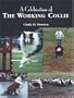 A Celebration of the Working Collie