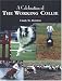 A Celebration of the Working Collie