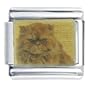 Persian Cats Italian Charm