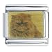   - Persian Photo Italian Charm Bracelet