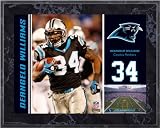 DeAngelo Williams Carolina Panthers 8x10 Color Plaque