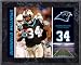 DeAngelo Williams Carolina Panthers 8x10 Color Plaque