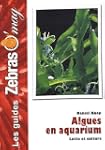 Les algues en aquarium marin