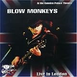 BLOW MONKEYS - LIVE IN LONDON