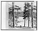 Historic Print (s): Georgetown & Vicinity / Photographed And Published By W.g. Chamberlain, Denver, Colorado