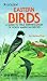 Eastern Birds: A Guide to Field Identification of North American Species