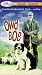 Owd Bob