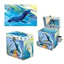 Ocean Friends Music Box