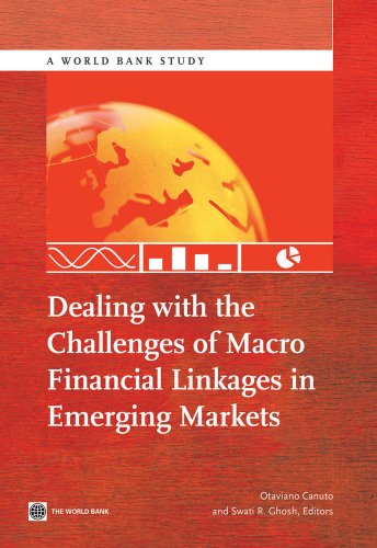 Dealing with the Challenges of Macro Financial Linkages in Emerging Markets (World Bank Studies)