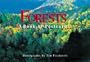 Forests: A Book of Postcards