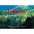 Forests: A Book of Postcards by  Tim Fitzharris