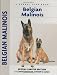 Belgian Malinois (Comprehensive Owner's Guide) (Comprehensive Owner's Guide Kennel Club)