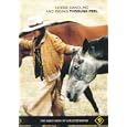 Horse Handling and Riding Through Feel by Leslie Desmond