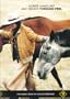Horse Handling & Riding Through Feel