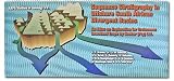 Sequence Stratigraphy in Offshore South African Divergent Basins: An Atlas on Exploration for Cretaceous Lowstand Traps by Soekor (Ptv.) Tld. (Aapg Studies in Geology)