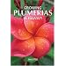 Growing Plumerias in Hawaii