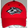 New Mexico Lobos Team Color One-Fit Hat Size: Small