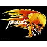 Metallica Flame Skull Fabric Tapestry Wall Hanging