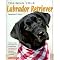 The Quintessential Labrador Retriever Book List
