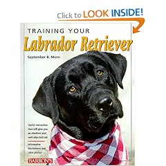 Training Your Labrador Retriever (Training Your Dog Series)