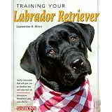 Training Your Labrador Retriever (Training Your Dog Series)