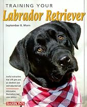 Training Your Labrador Retriever (Training Your Dog)