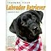 Training Your Labrador Retriever (Training Your Dog)