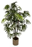 510JPJDMXXL. SL160  5ft Rhapis Palm Tree   Artificial Plant Reviews