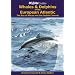 Whales and Dolphins of the European Atlantic (Ocean Guides)