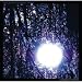 Luminous Night