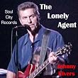 The Lonely Agent