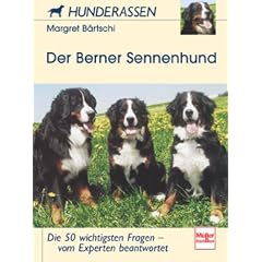 Der Berner Sennenhund: Die 50 wichtigsten Fragen - vom Experten beantwortet (Hunderassen)